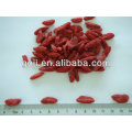 NINGXIA GOJI BERRIES